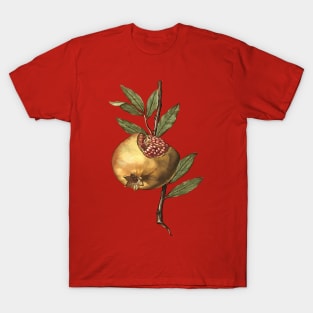 Mediterranean Pomegranate Fruit And Seeds Vector Art T-Shirt